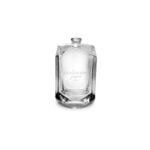 100ml-poseidon slender glass bottle