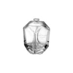 100ml Poseidon perfume bottle